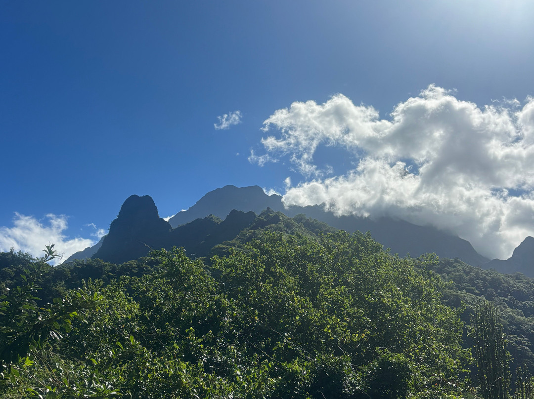 Karatu Expedition Safaris-阿鲁埃必去景点