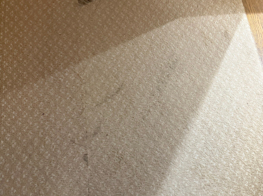 经典希克史泰德酒店主图