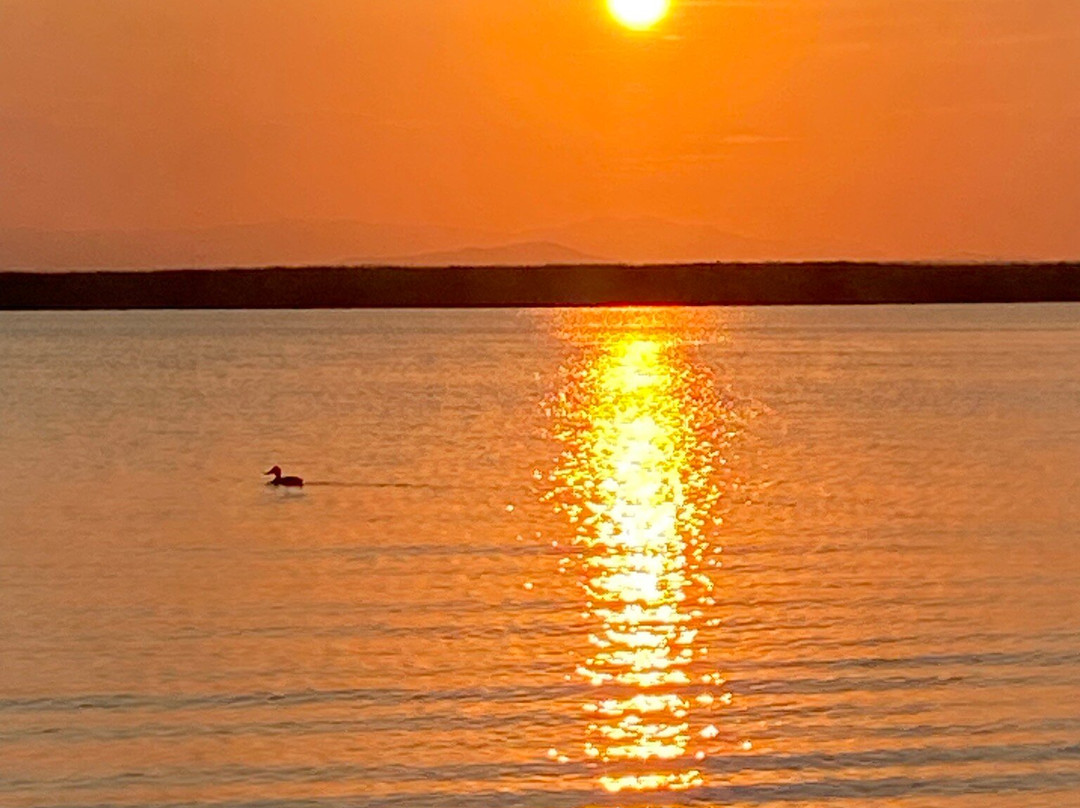 Visit Albufera-巴伦西亚必去景点
