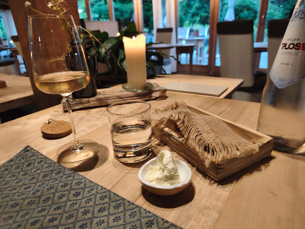 巴德肖格酒店-旅行者