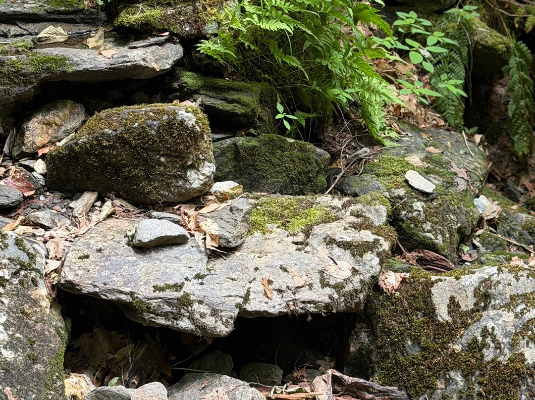 Money Brook Trail-威廉斯敦必去景点