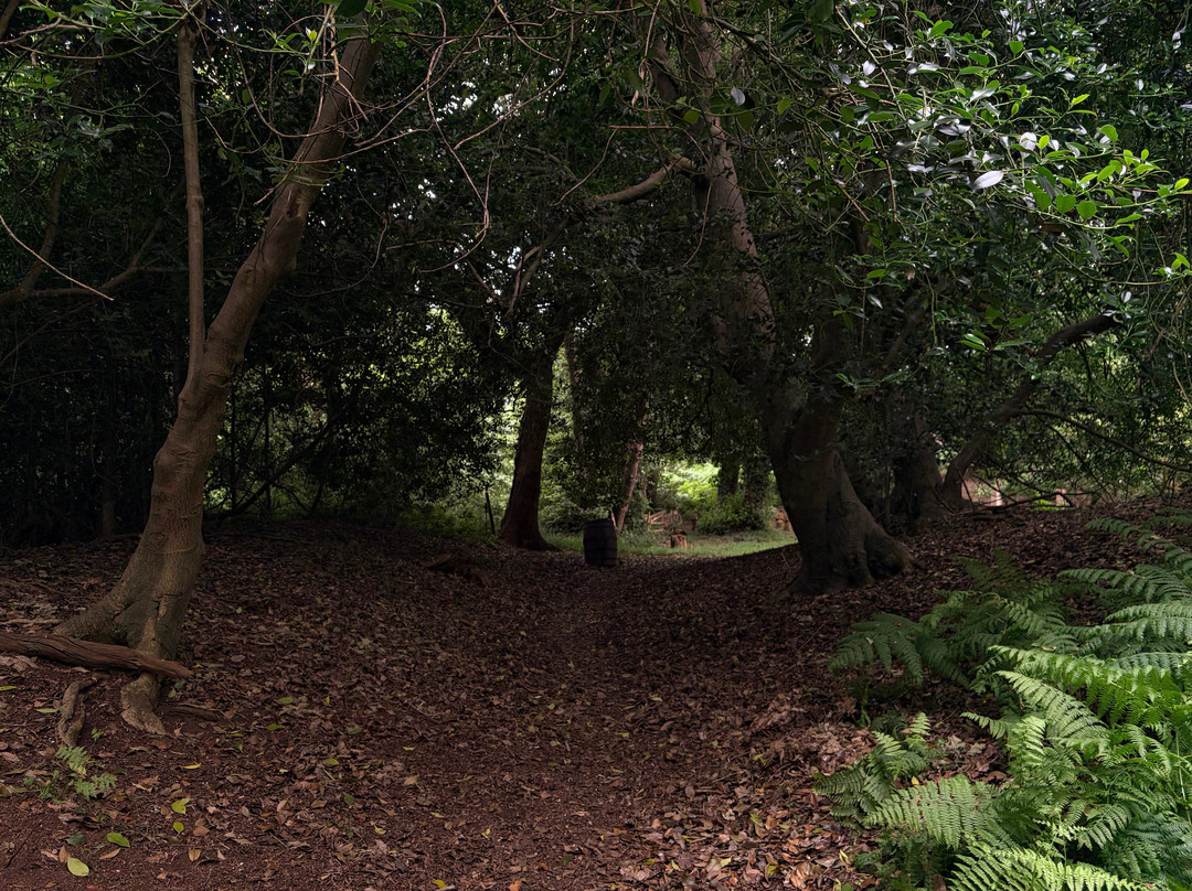 Little Woodham Living History Village-戈斯波特必去景点