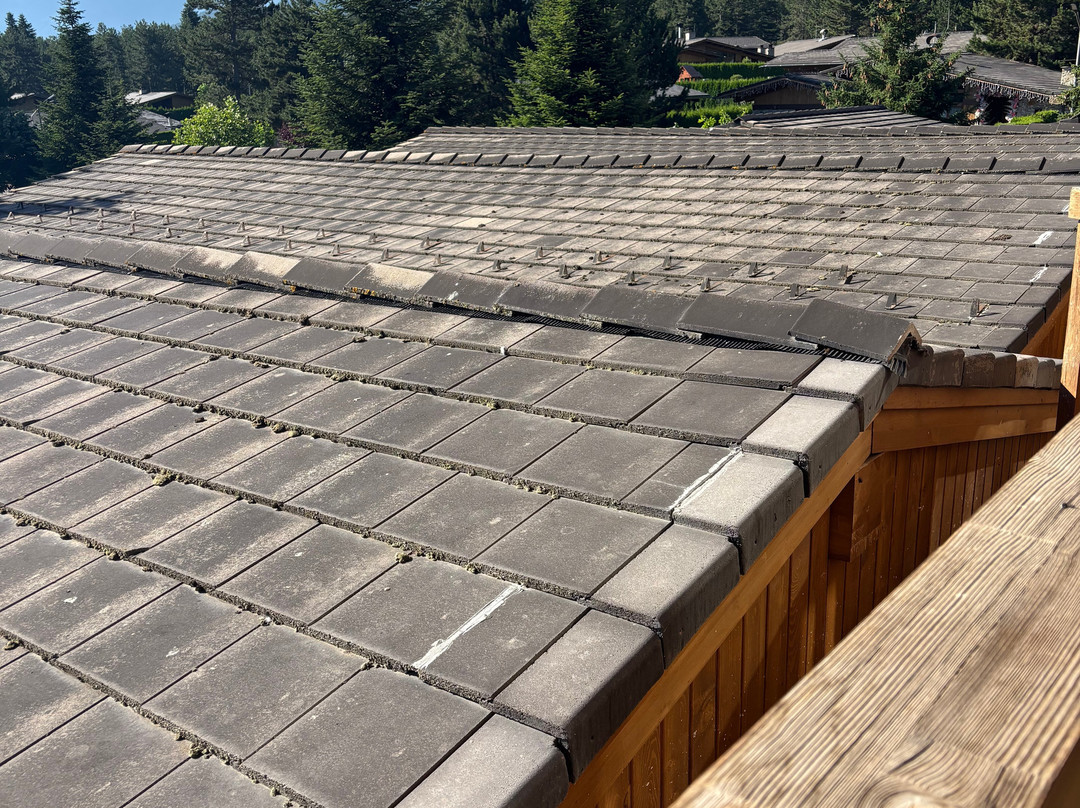 Pirin Golf Hotel & SPA主图