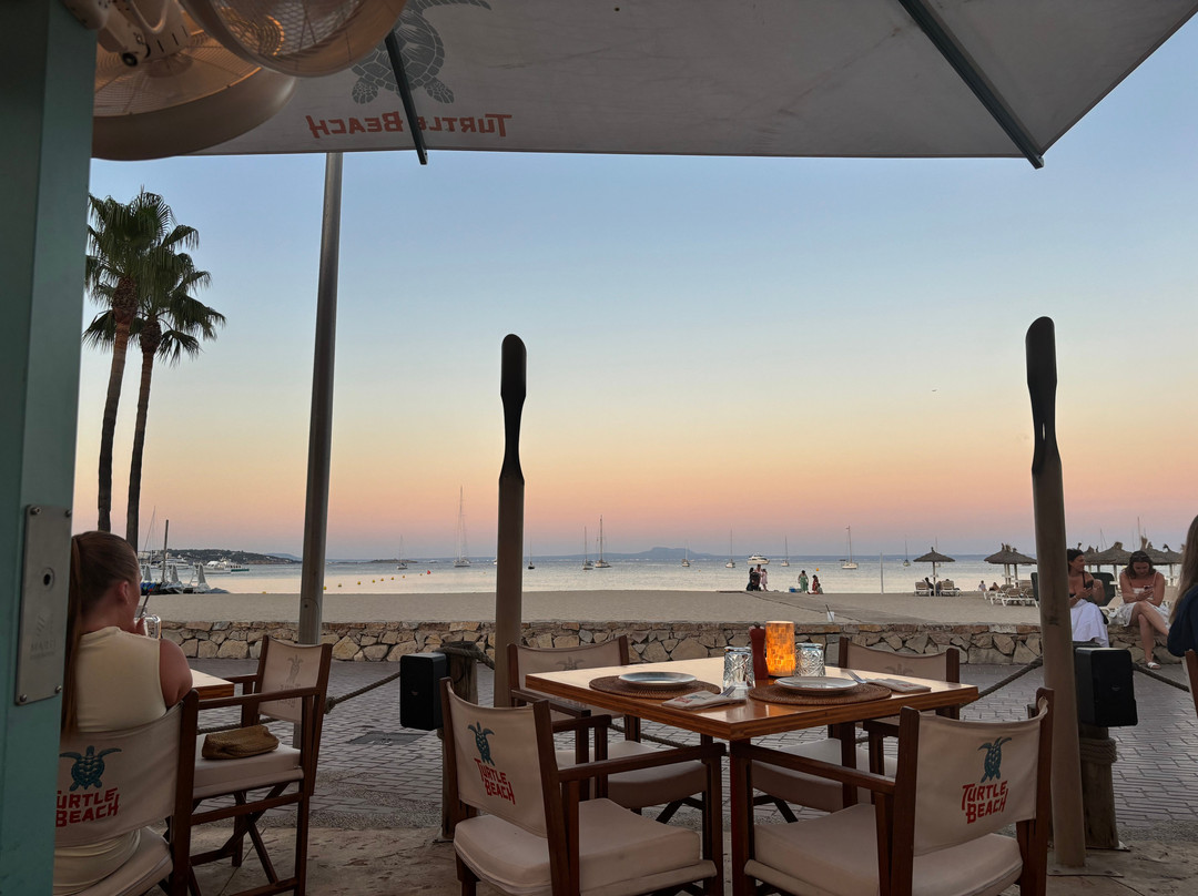 Turtle Beach Palmanova