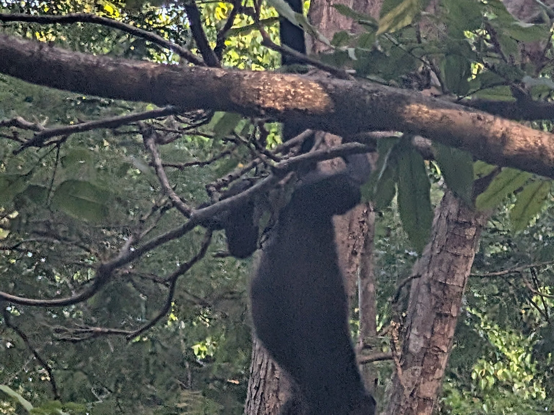 The Monkey Farm-Playa Ocotal必去景点