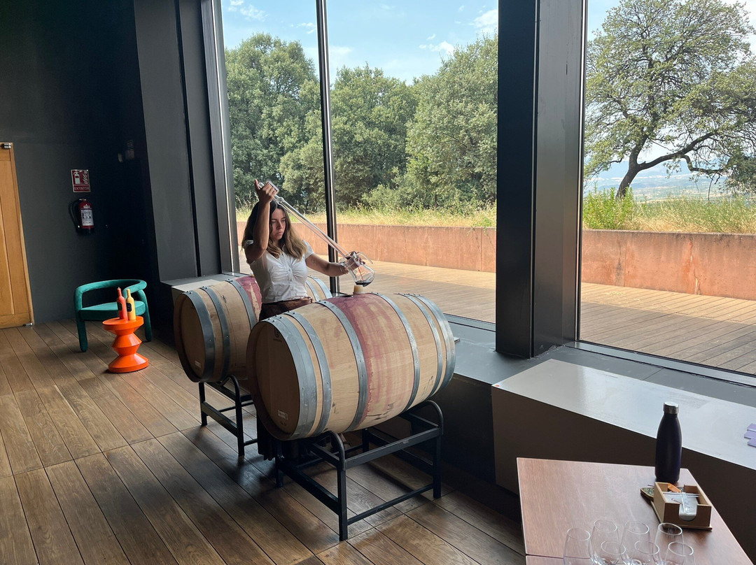 Bodegas Campo Viejo-洛格罗尼奥必去景点