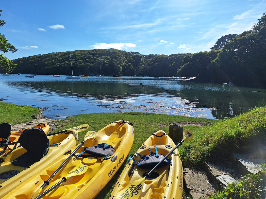 Koru Kayaking-St Agnes必去景点