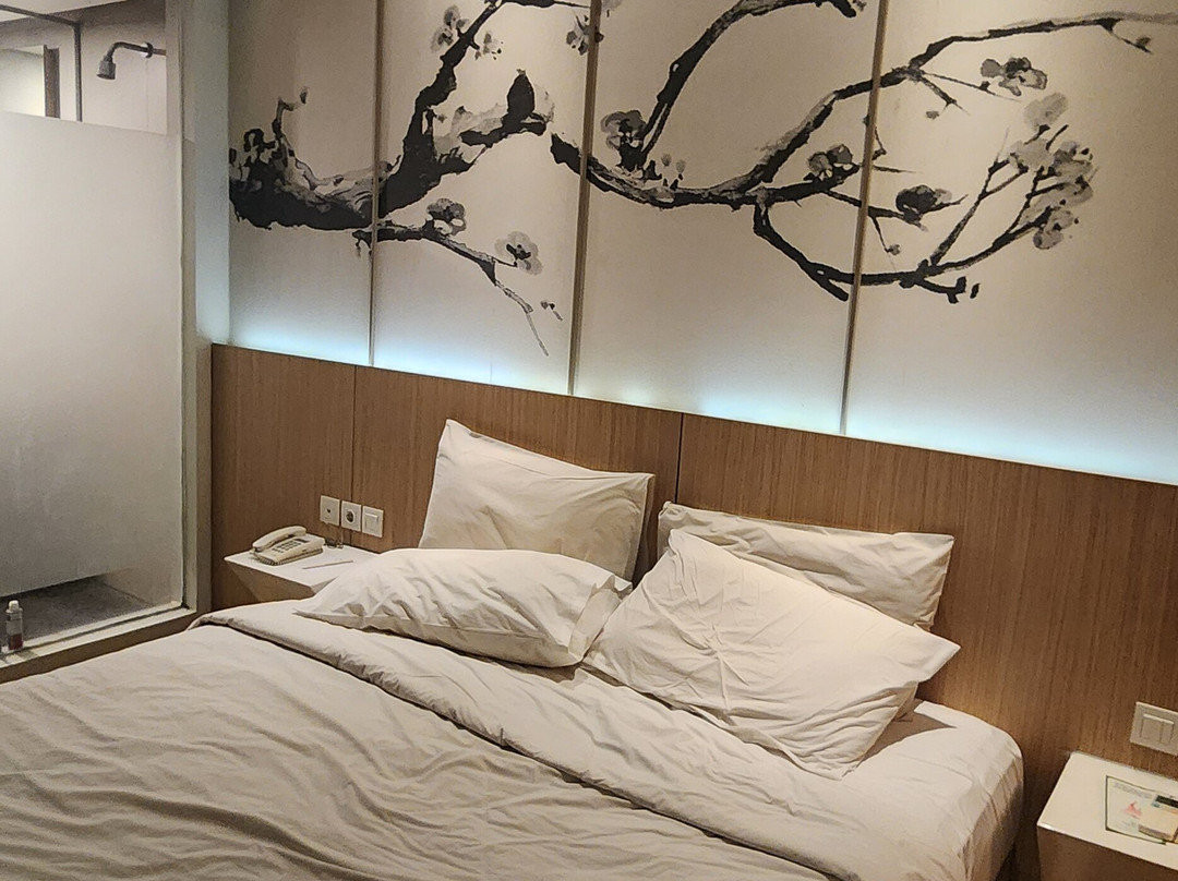 大城桑提卡酒店-贝克西主图
