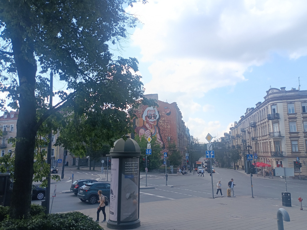 Vilnius Free Walking Tours-维尔纽斯必去景点