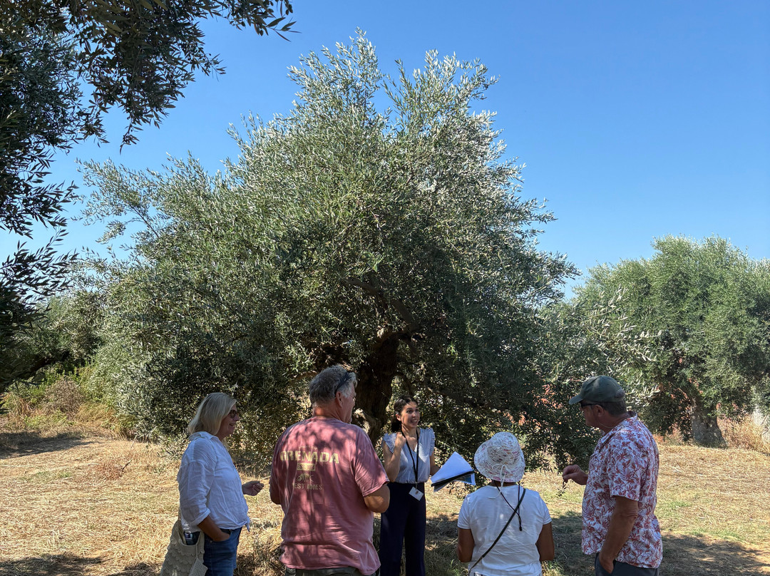 Liokarpos Olive Oil Tasting Experience-Finikounda必去景点