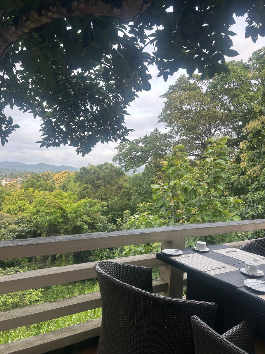 优雅酒店-旅行者