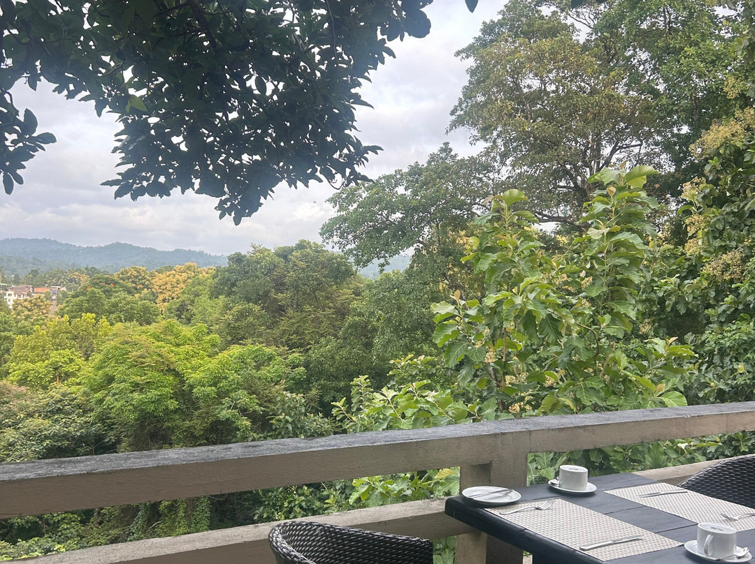 优雅酒店主图