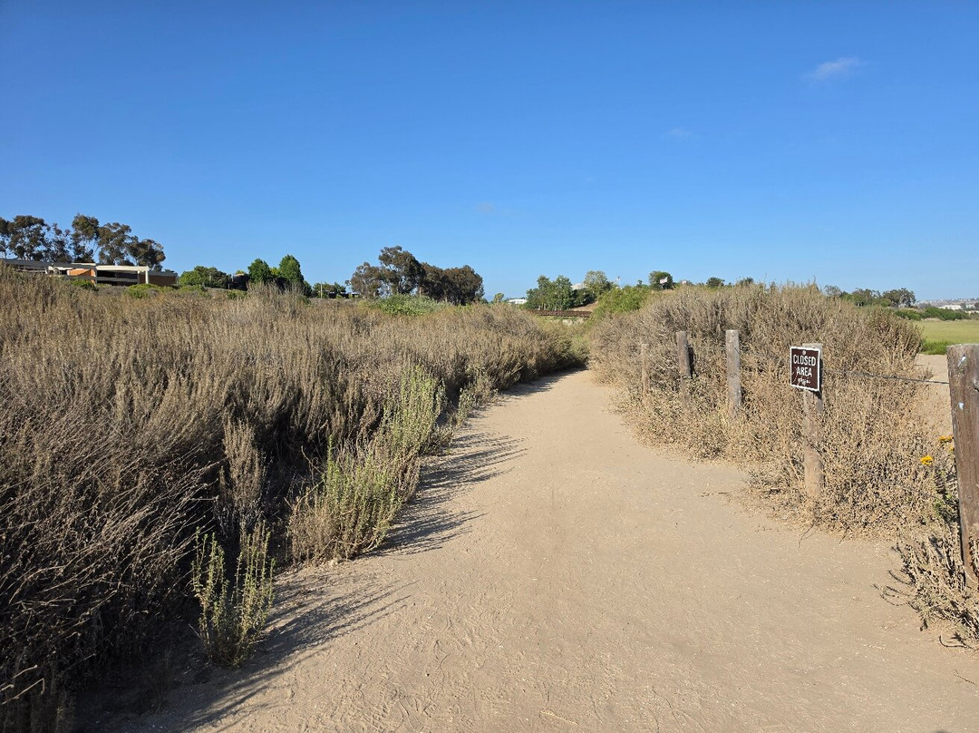 Upper Newport Bay Nature Preserve-纽波特海滩必去景点