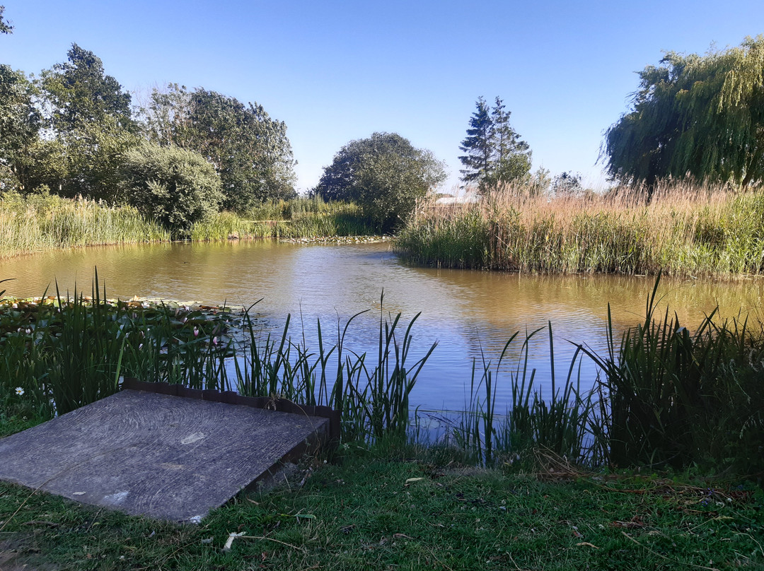 Hanworth Country Park