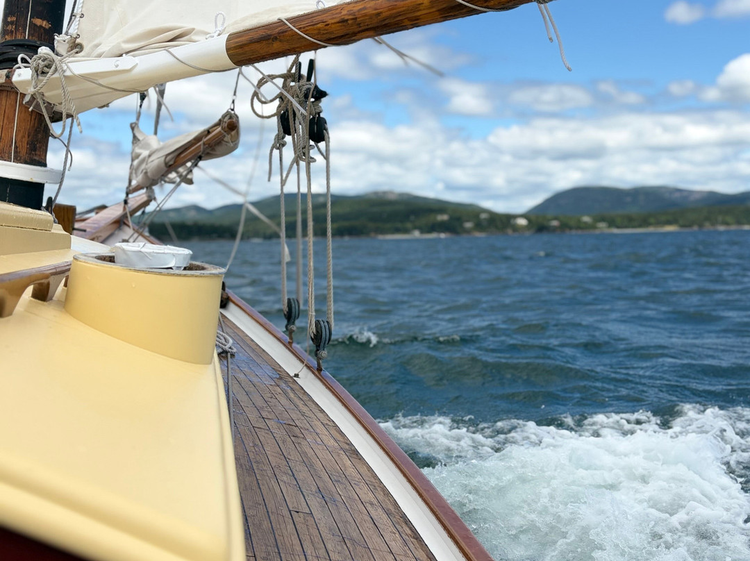 Sail Acadia-Southwest Harbor必去景点