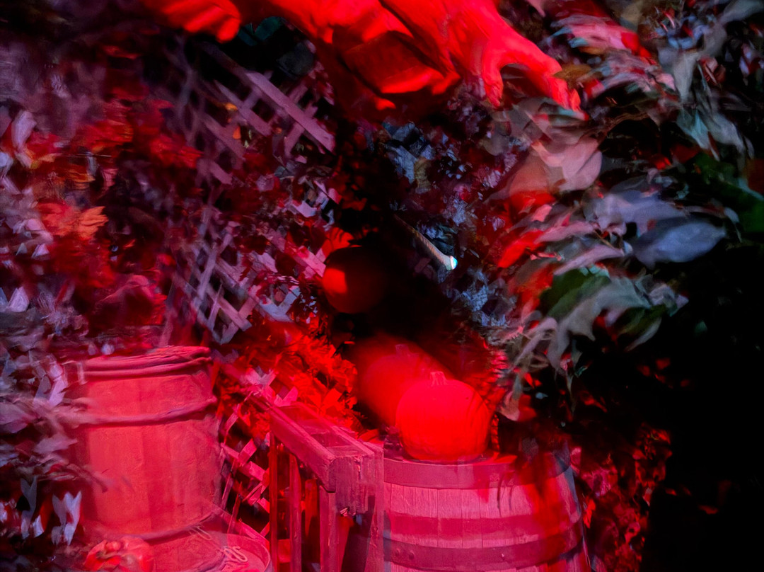 Haunted Mansion-Kensington必去景点
