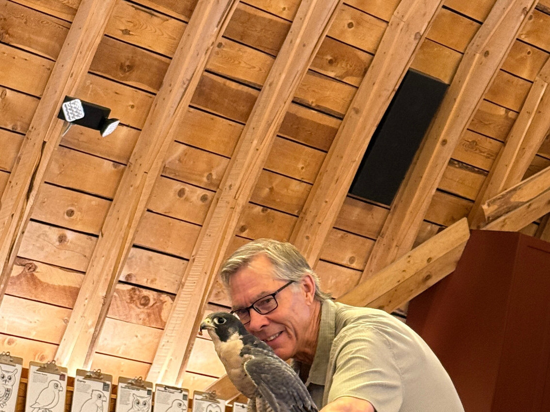 Teton Raptor Center-威尔逊必去景点
