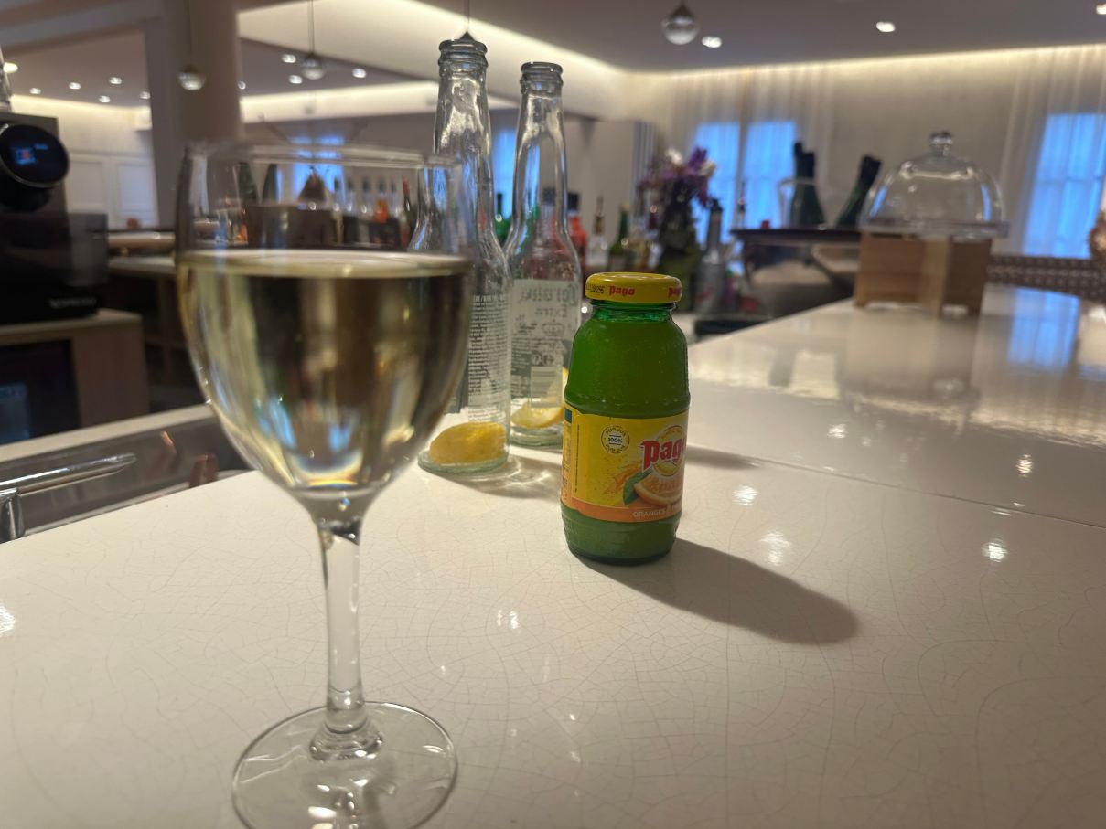 普莱西斯大酒店-旅行者