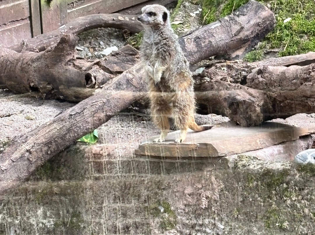 Shaldon Wildlife Trust-Shaldon必去景点