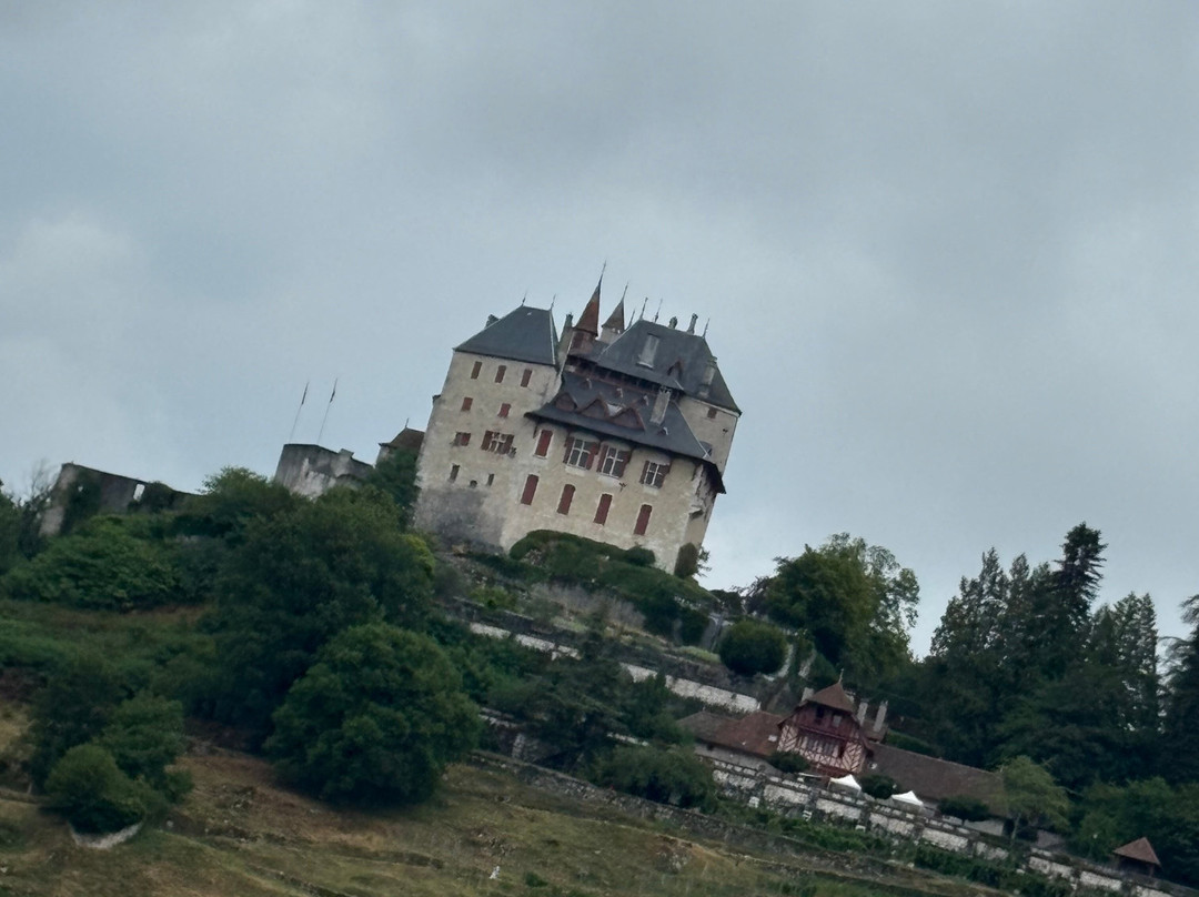 Château De Menthon-saint-bernard-圣贝尔纳必去景点