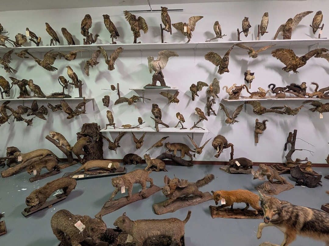 West Virginia State Farm Museum-Point Pleasant必去景点