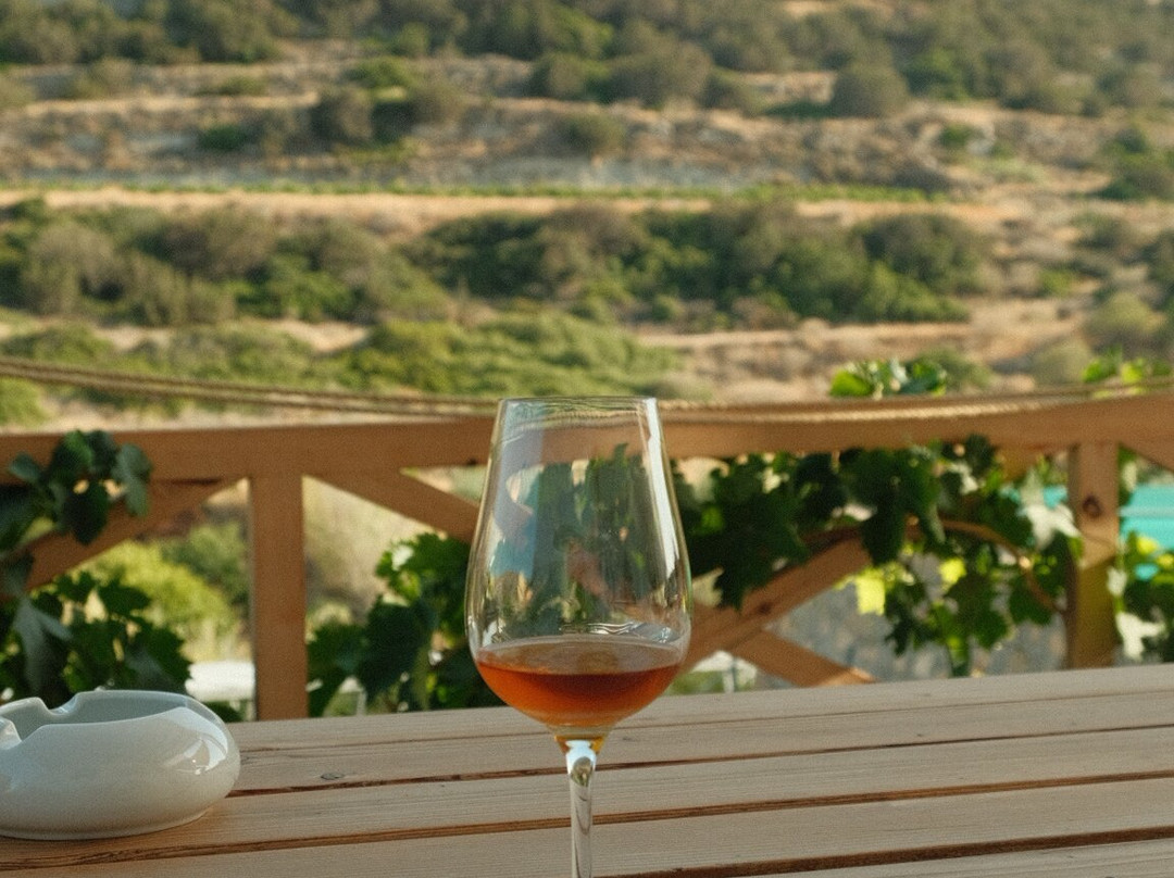 Para Kopois Winery-Parakopi必去景点