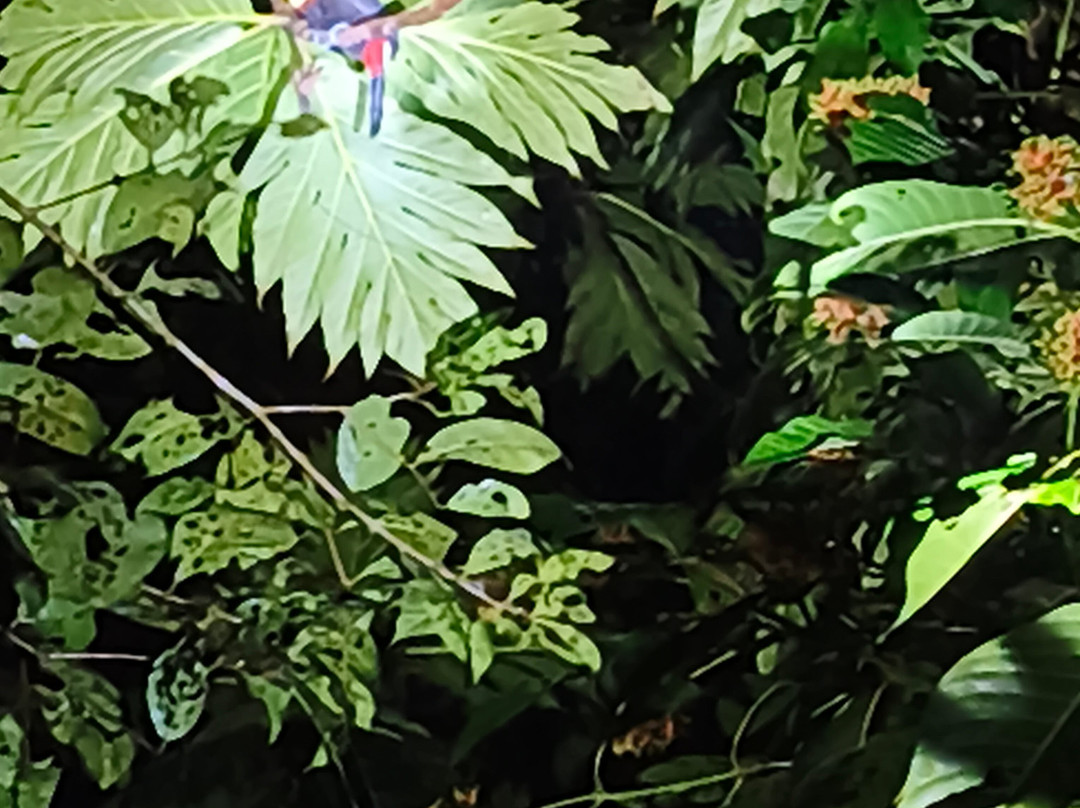 Jairo Tours In Costa Rica-El Jobo必去景点
