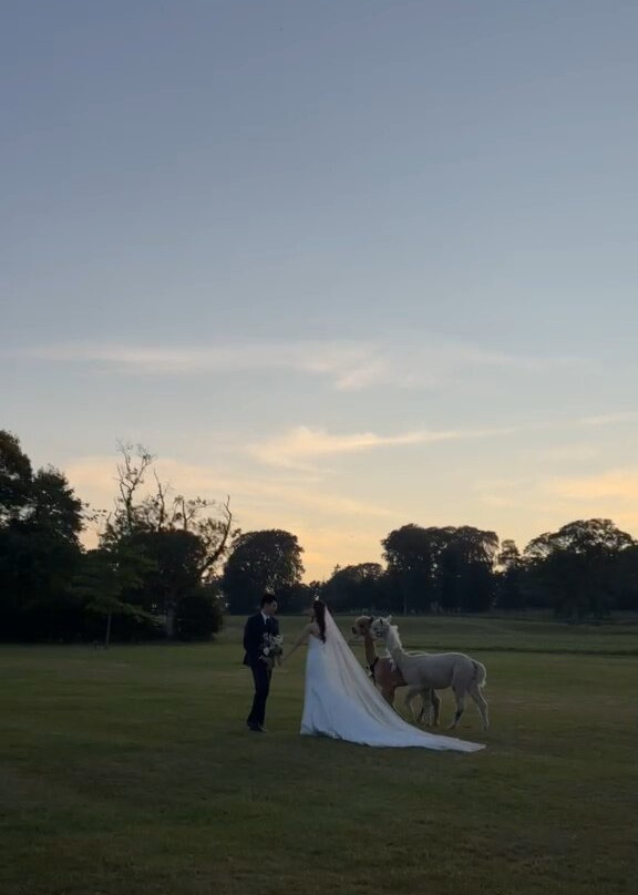 Russborough House & Park-Wicklow必去景点
