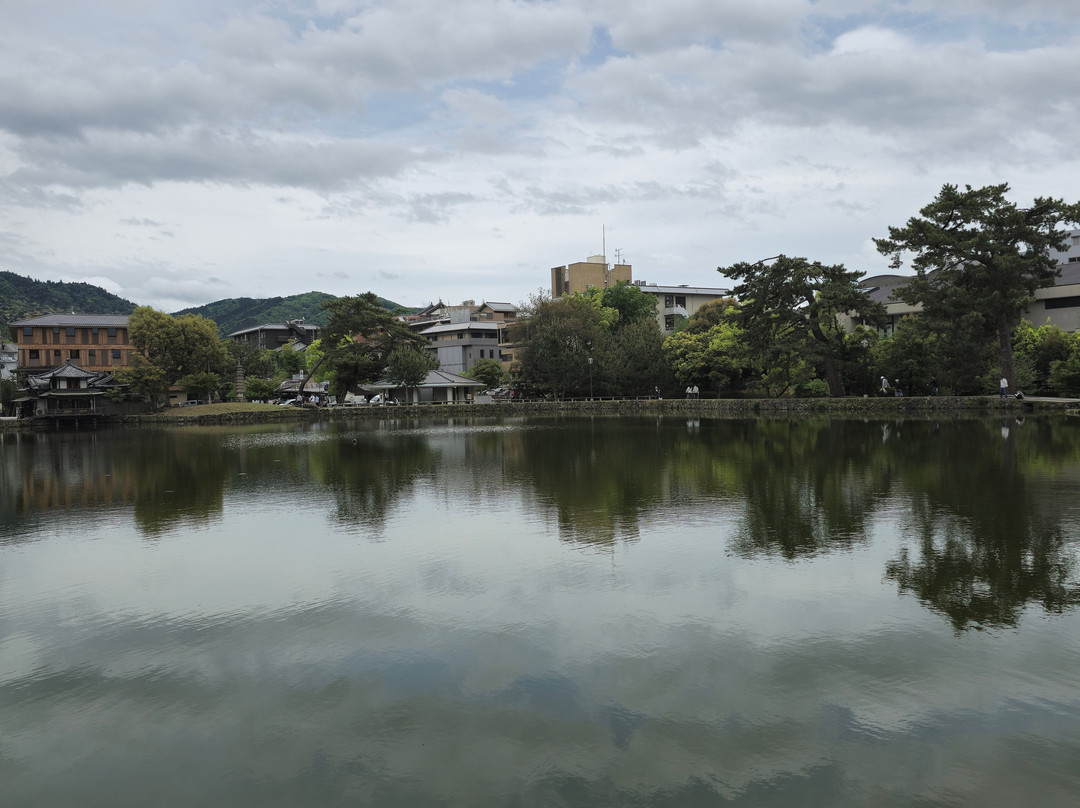 Sarusawa Pond-奈良市必去景点