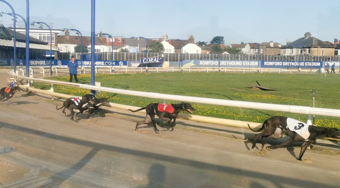Romford Greyhound Stadium-Romford必去景点