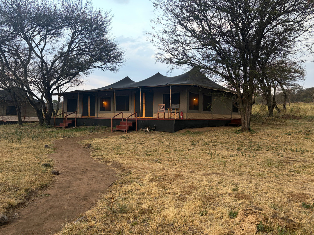 Golden Safari Camps