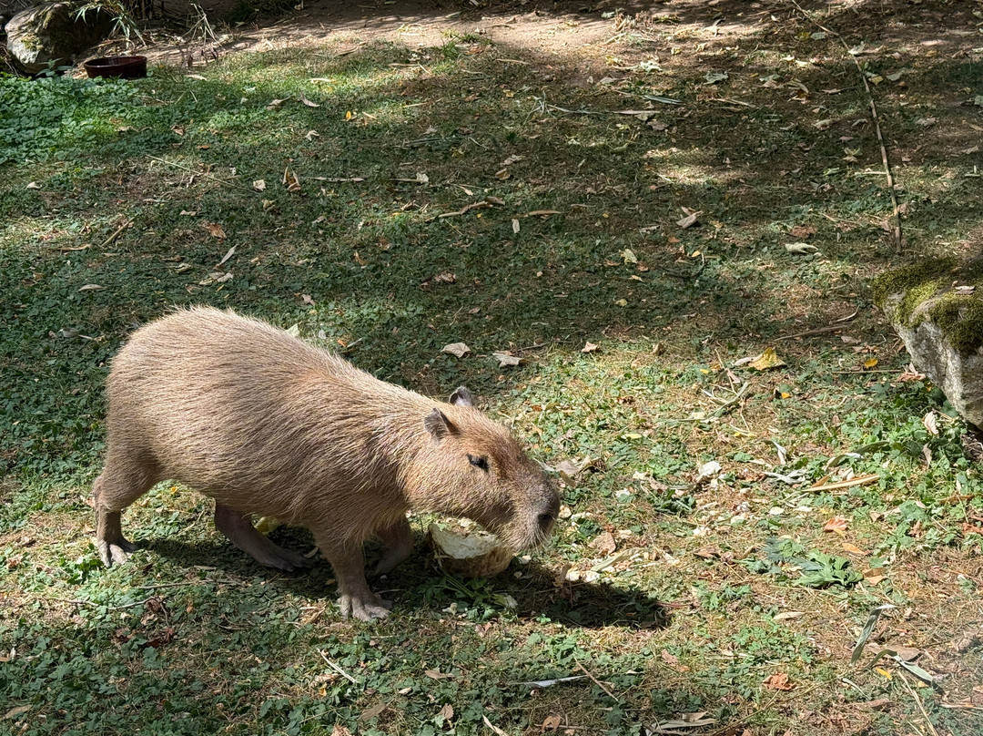 Zoo Duisburg-杜伊斯堡必去景点