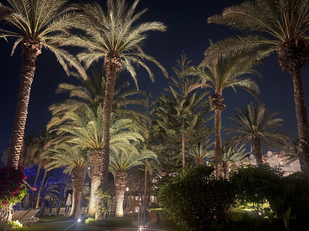 Iberostar Waves Founty Beach -All Inclusive主图