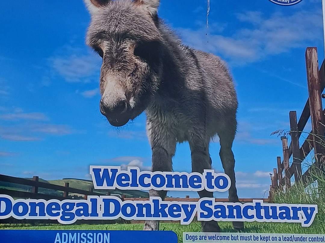 Donegal Donkey Sanctuary-Raphoe必去景点