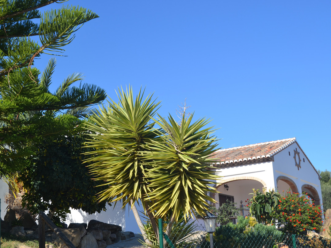 Cozy Rural Tourism Accommodation in Huetor主图