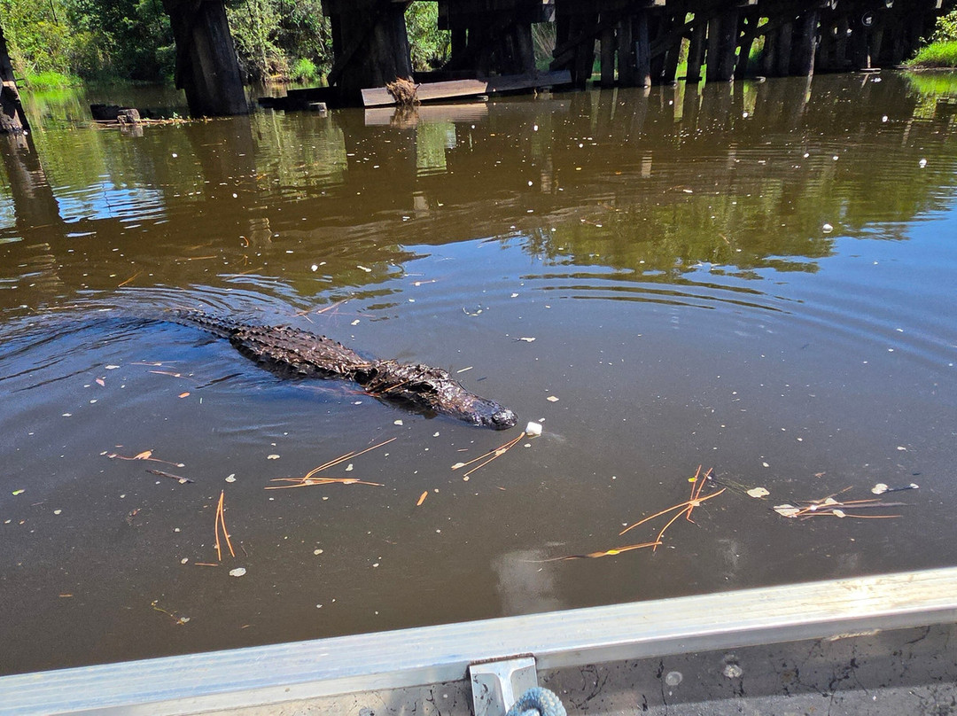 Gulf Coast Gator Ranch & Airboat Swamp Tours-莫斯波因特必去景点