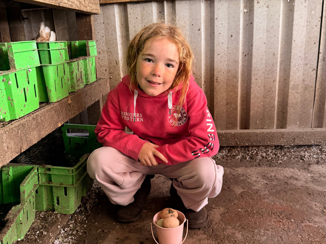 Animal Land Children's Farm-Diggers Rest必去景点