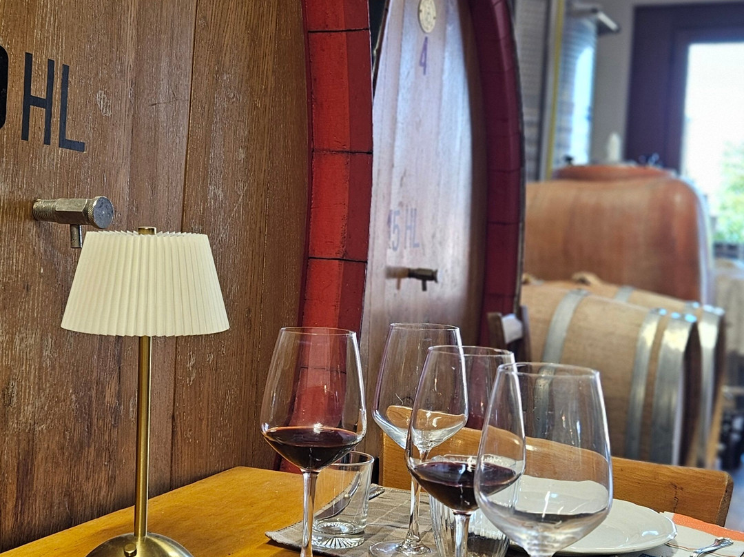 Cantina Fuccelli-Montefalco必去景点