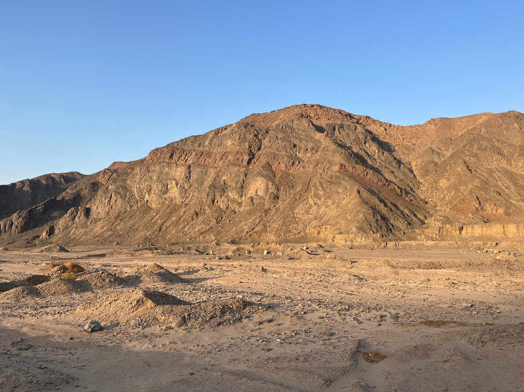 Marsa Alam Tours-马萨阿拉姆必去景点