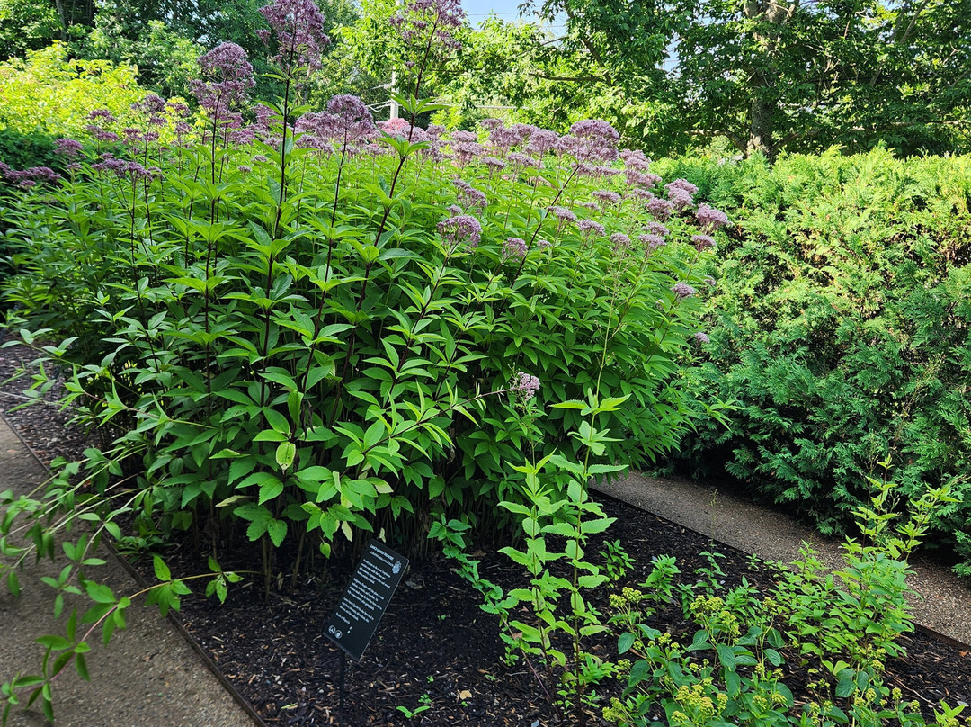 The K.C. Irving Environmental Science Centre and Harriet Irving Botanical Gardens-Wolfville必去景点