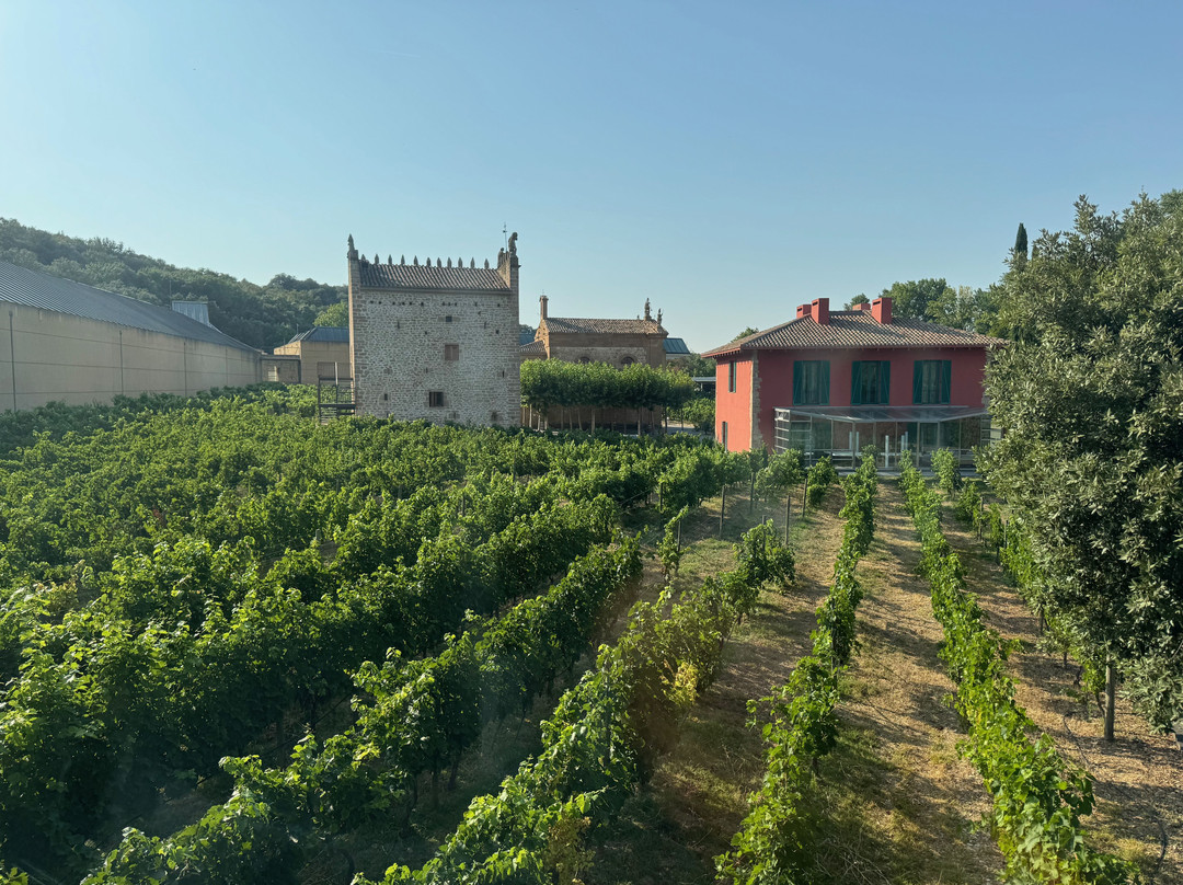 Bodega Señorío de Arínzano-Aberin必去景点