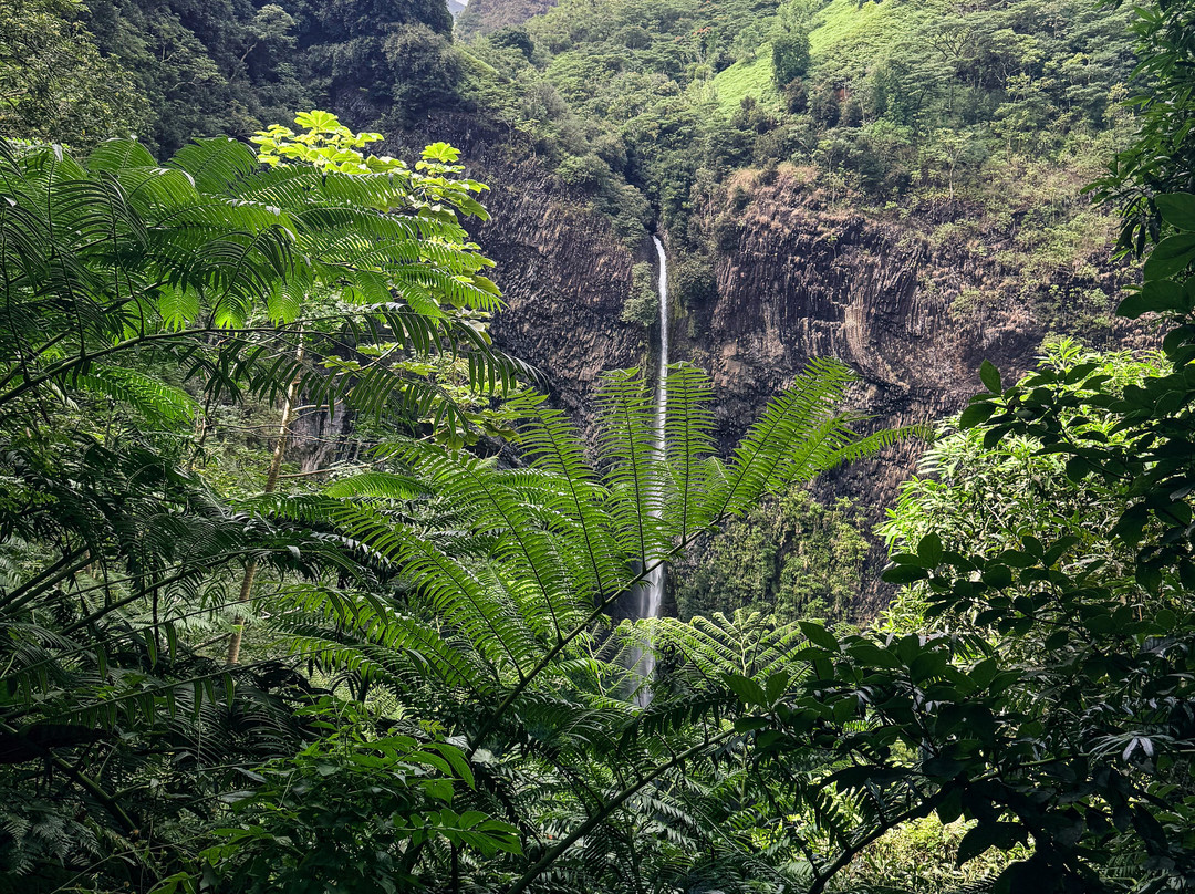 Vahio Hike-阿鲁埃必去景点