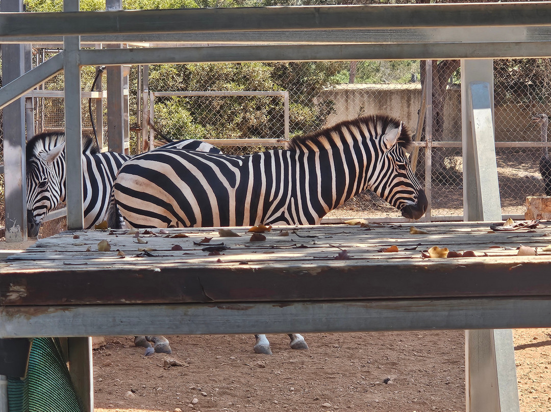 Pafos Zoo-帕福斯必去景点