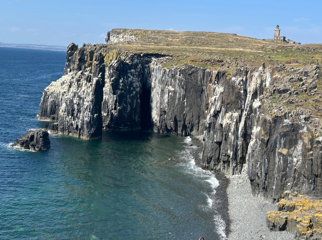 Anstruther Pleasure Cruises-Boat Day Tours-Anstruther必去景点