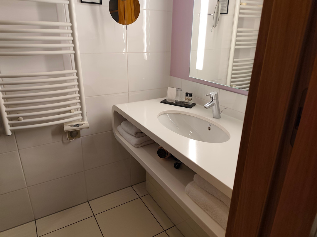 Best Western Plus Hotel le Rhenan主图