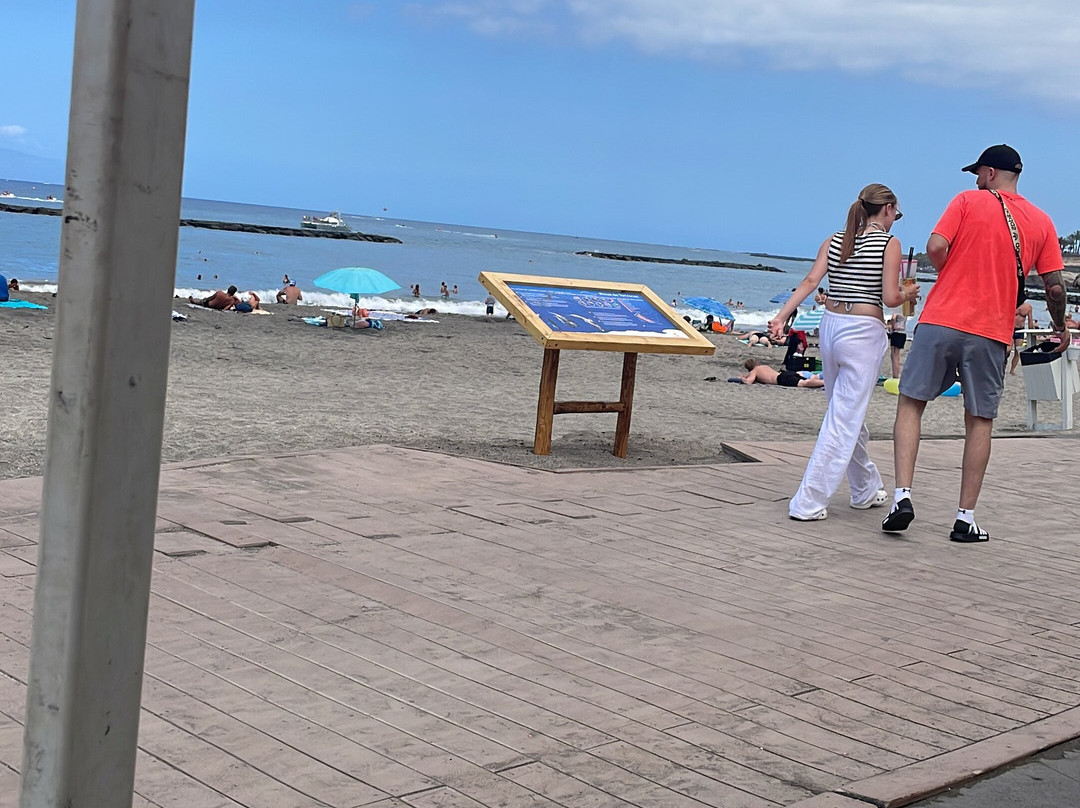 Playa de la Pinta-圣克鲁斯-德特内里费必去景点