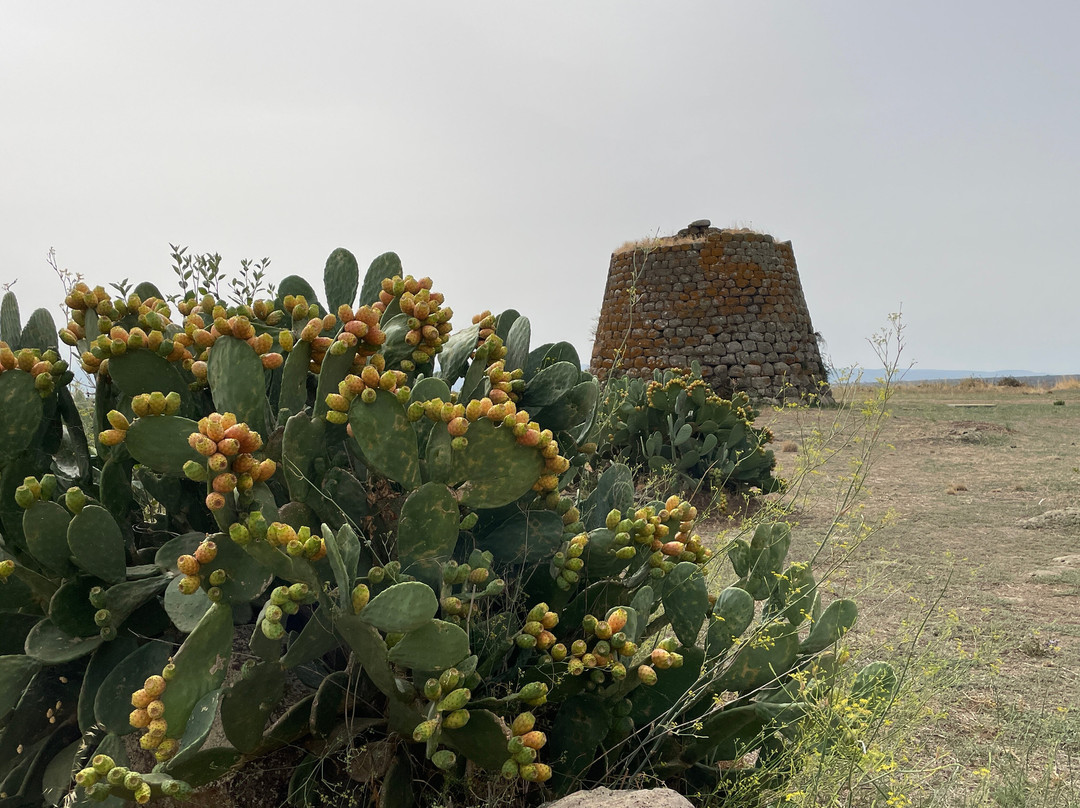 Nuraghe Santa Sabina-Silanus必去景点