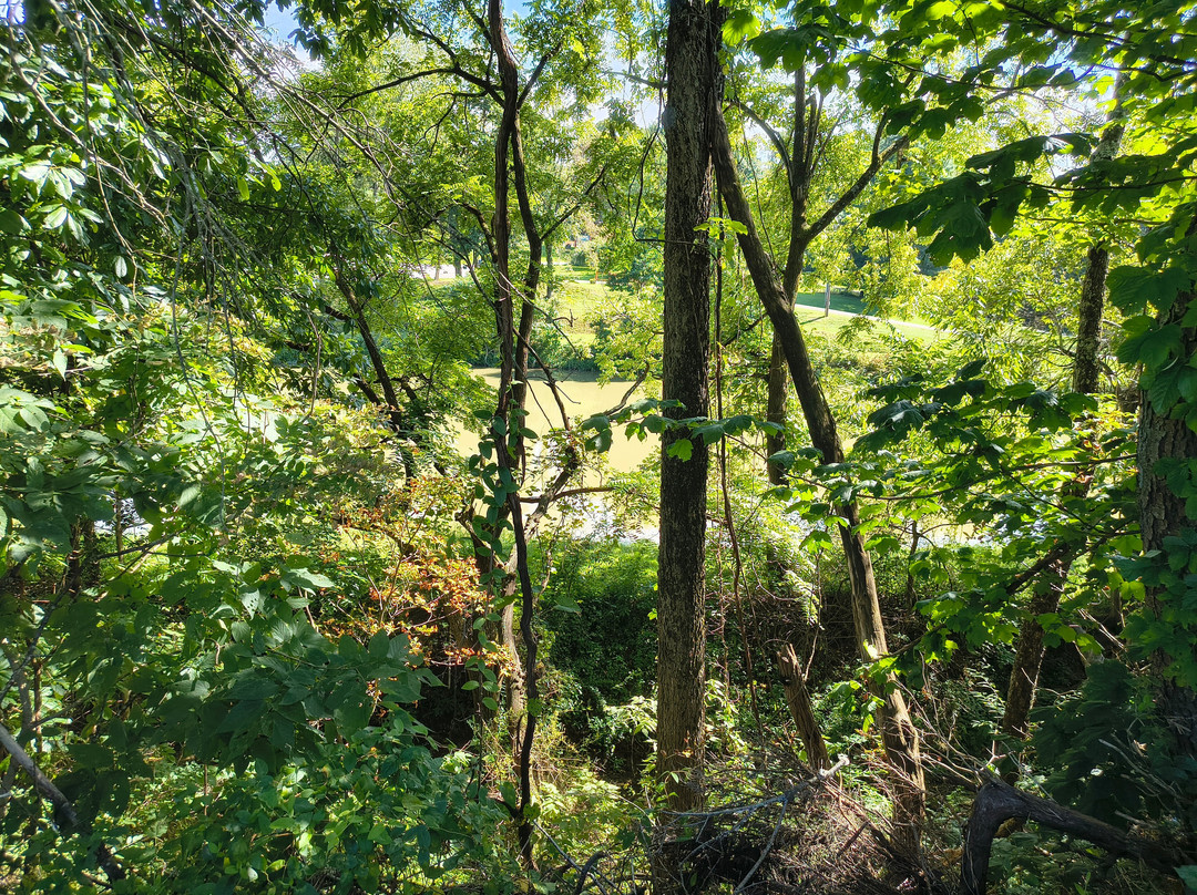 Crabapple Park & Pool-Herminie必去景点