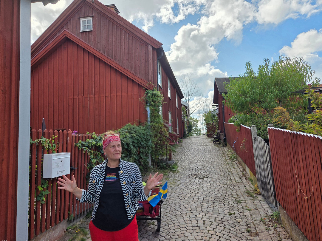 Vimmerby Stadtführung-Vimmerby必去景点