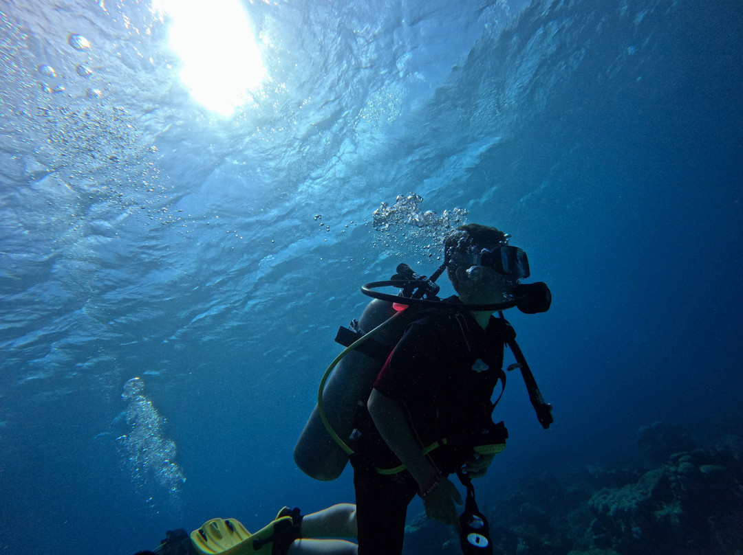 JADS Dive Center-San Nicolas必去景点